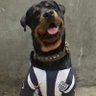 Joaquín's profile picture