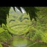 えへ 的头像