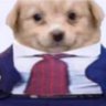 Profilbild von Von Wager
