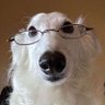 Profilbild von steneyvon