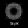 SkyX 的头像