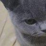 Profilbild von tiny111110