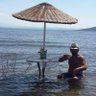 Sergio profil fotoğrafı