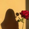 🦋's profile picture