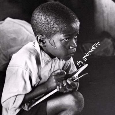zool sudani's profile picture