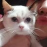 vicMan's profile picture