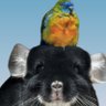 ことほ's profile picture
