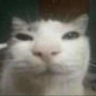 worm sley profil fotoğrafı