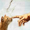 ANDROMEDA 's profile picture