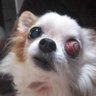 mame's profile picture