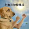 Profilbild von FuckDev-与狗庄持续战斗