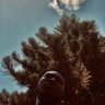 Фото профиля Ntim-Kwakye