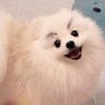 Mary's profile picture