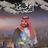 وسيم ابو الاء Moderate man's profile picture