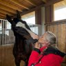 Profilbild von Ingrid Stangl