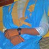 elhavd aboubekrin 的头像