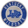Wildcat Enjoyer's profile picture