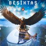 Beşiktaş's profile picture