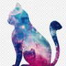 Cat Galaxy's profile picture