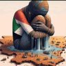 Adel Mohmed's profile picture