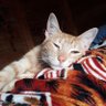 sunoowife profil fotoğrafı