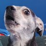 Jason Butterfield's profile picture
