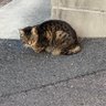 倍返し profil fotoğrafı