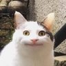 Emma Lavender's profile picture