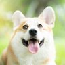 私人空间 profil fotoğrafı