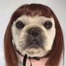 Profilbild von ffuojbkl