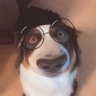 Peter Gibbons's profile picture