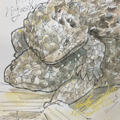 へるお's profile picture
