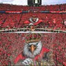 🦅🦅🦅samir.fathi's profile picture