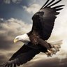 Patricia Peña's profile picture