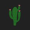 🌵's profile picture