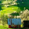 Фото профиля Quôc Viêt