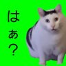 Profilbild von はちまるくん