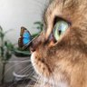 mâvera🪽 profil fotoğrafı