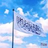 عمر طلحه 的头像