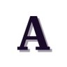 The AIFoundry's profile picture