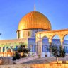 Фото профиля لعل الله يحدث بعد ذلك امرا