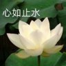 八十 的头像