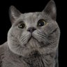 Profilbild von πeter_k92