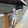 ひのとり's profile picture