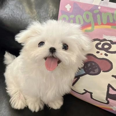 bilo_bilo00's profile picture
