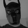 BareDogUK's profile picture