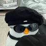 Profilbild von 墨镜企鹅