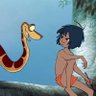 Mowgli Jungle's profile picture