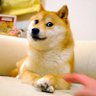 Profilbild von 所さん