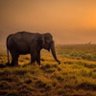 Фото профиля Barbara Miller